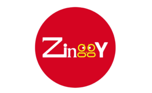 Zinggy